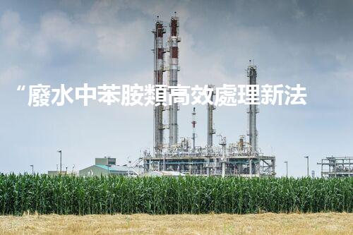 “廢水中苯胺類高效處理新法，環(huán)保先鋒引領(lǐng)綠色以后”